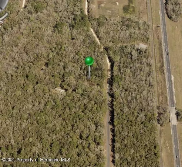 Weeki Wachee, FL 34614,3 Carolina Dove Road