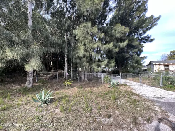 Hudson, FL 34667,14633 Williams Lane