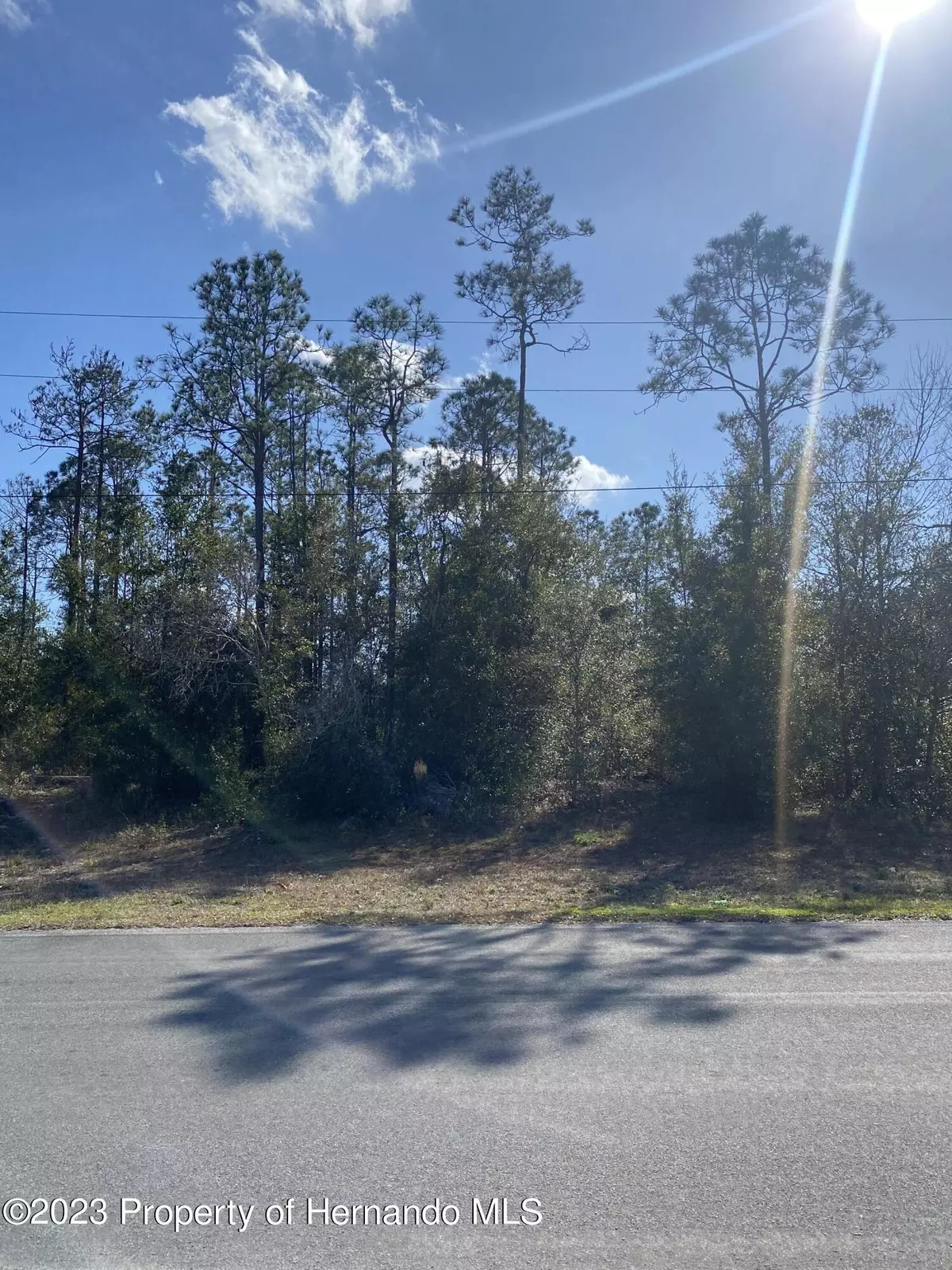 Brooksville, FL 34613,12346 Pitcairn Street