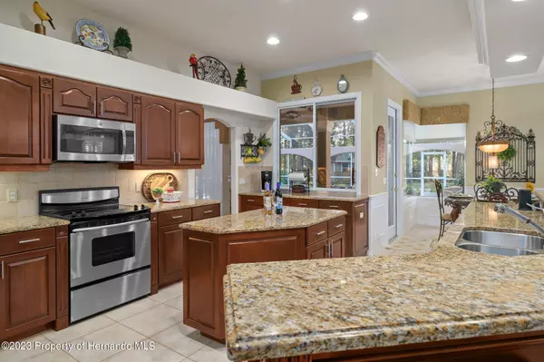 Weeki Wachee, FL 34613,11178 Warm Wind Way