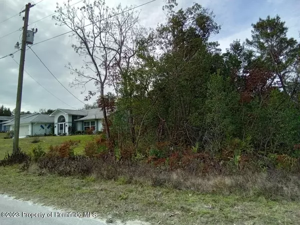 8075 Jasbow Junction, Spring Hill, FL 34613