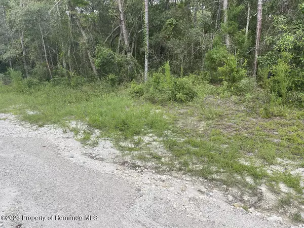 Weeki Wachee, FL 34613,Glenarm Way