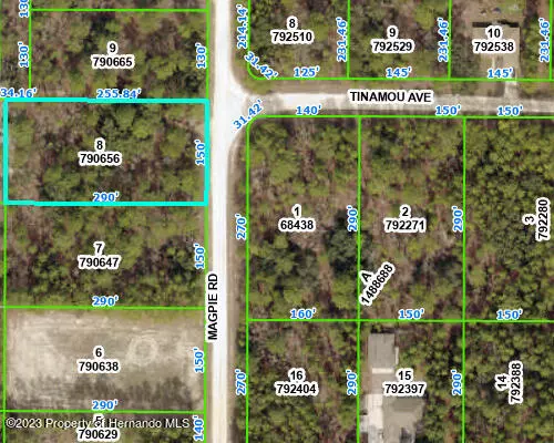 8 Magpie Road, Weeki Wachee, FL 34614