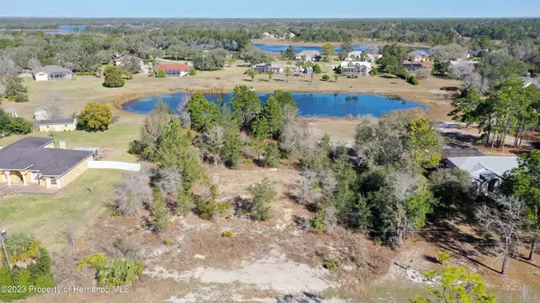 Weeki Wachee, FL 34613,Golden Avenue