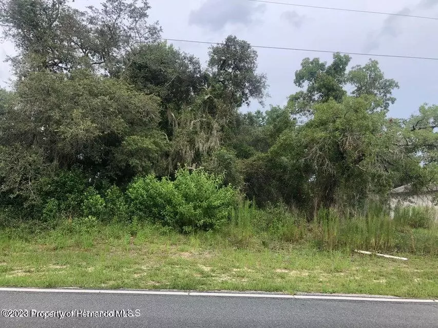 Spring Hill, FL 34609,Lema Drive