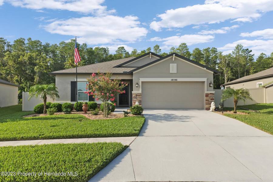 18786 Alfaro Loop, Spring Hill(pasco), FL 34610