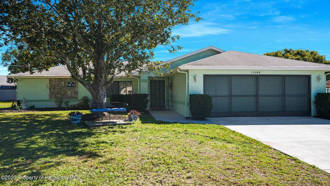 13384 Bonita Avenue, Spring Hill, FL 34609