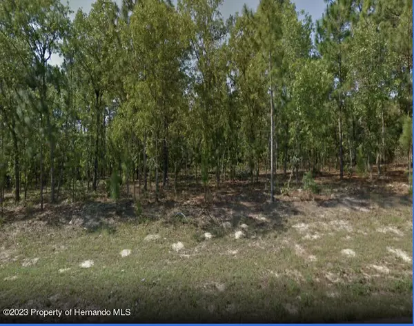 Citrus Springs, FL 34434,6624 N Bedstrow Boulevard