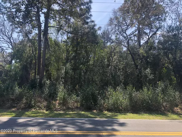 Coronado Drive, Spring Hill, FL 34609