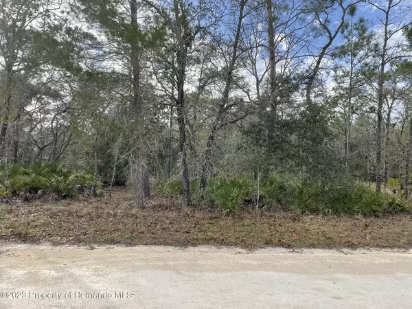 Weeki Wachee, FL 34613,16 Millerdale Road