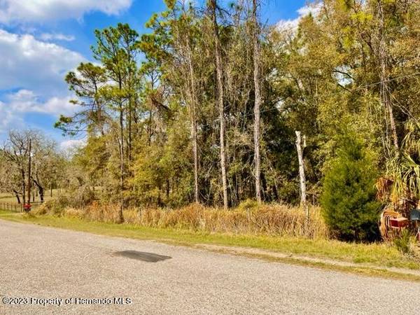 Evaline Street, Brooksville, FL 34601