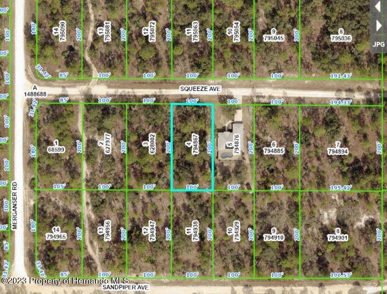 12084 Squeeze Avenue, Weeki Wachee, FL 34614