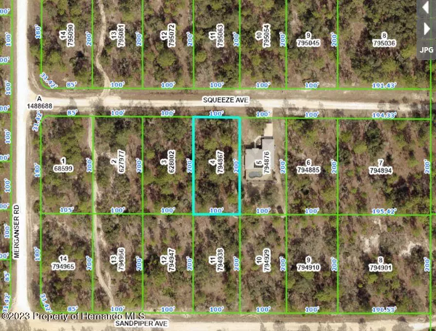 Weeki Wachee, FL 34614,12084 Squeeze Avenue