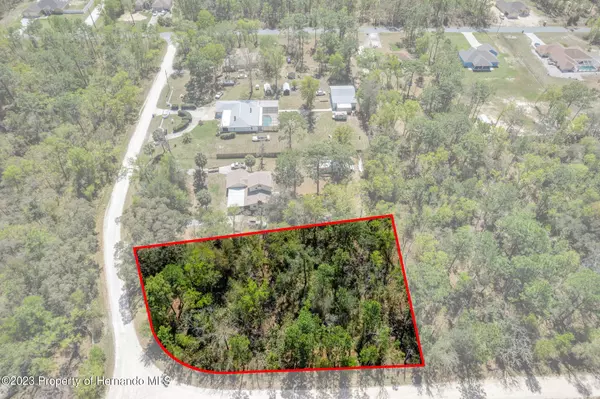 Weeki Wachee, FL 34614,10422 Yellowstone Avenue