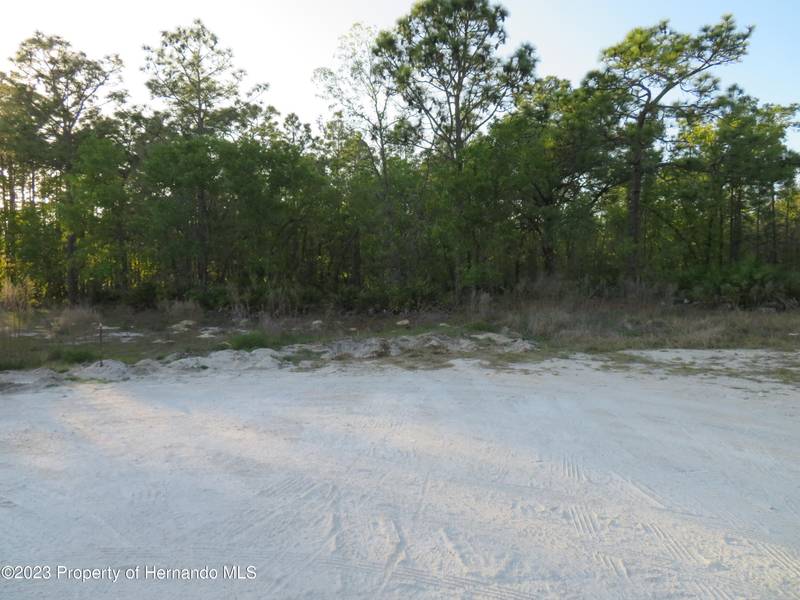 Macassar, Weeki Wachee, FL 34614