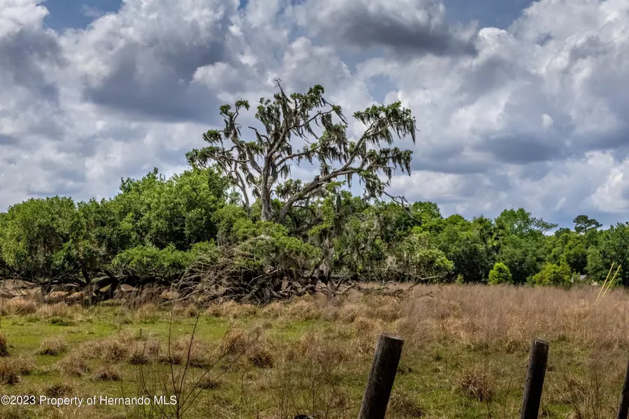 Spangler Tract 3 Avenue, Brooksville, FL 34604