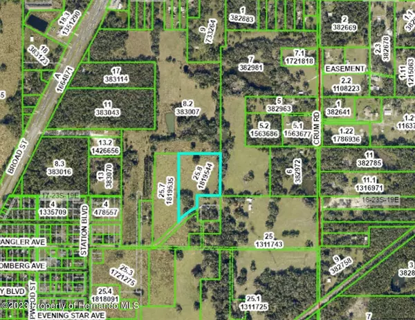 Brooksville, FL 34604,Spangler Tract 6 Avenue