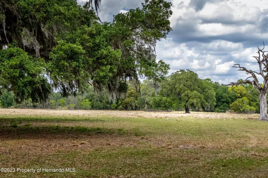 Spangler Tract 6 Avenue, Brooksville, FL 34604