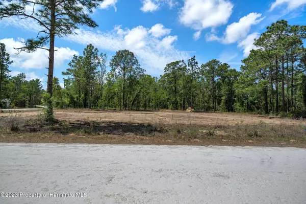 Weeki Wachee, FL 34614,15417 Coot Road