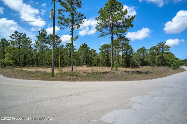 Weeki Wachee, FL 34614,15417 Coot Road