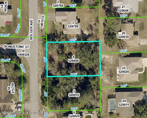 Bolger Avenue, Spring Hill, FL 34609