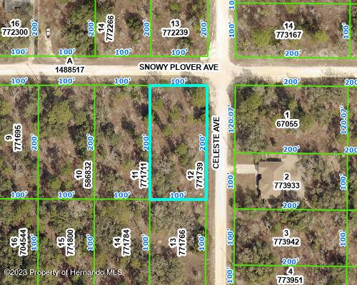 0 Snowy Plover Avenue, Brooksville, FL 34614