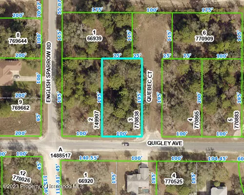 13185 QUIGLEY Avenue, Weeki Wachee, FL 34614