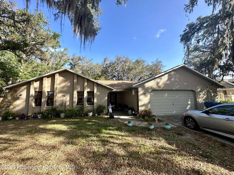 8169 Tranquil Drive, Spring Hill, FL 34606