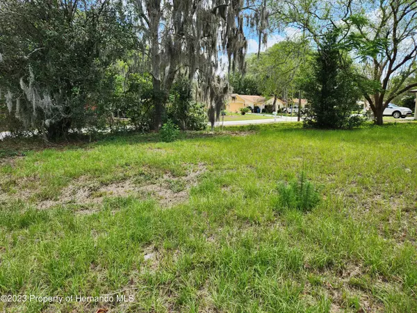 Spring Hill, FL 34608,Laredo Ave Lot 1