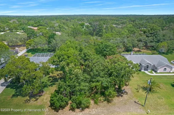 Nuzum Road, Weeki Wachee, FL 34613