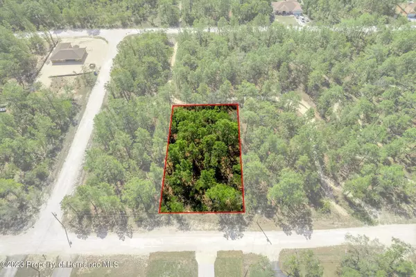 12388 Snowy Egret Avenue, Weeki Wachee, FL 34614