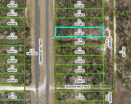 Commercial Way, Weeki Wachee, FL 34614