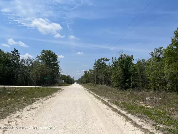 Weeki Wachee, FL 34614,6 Courlan Road