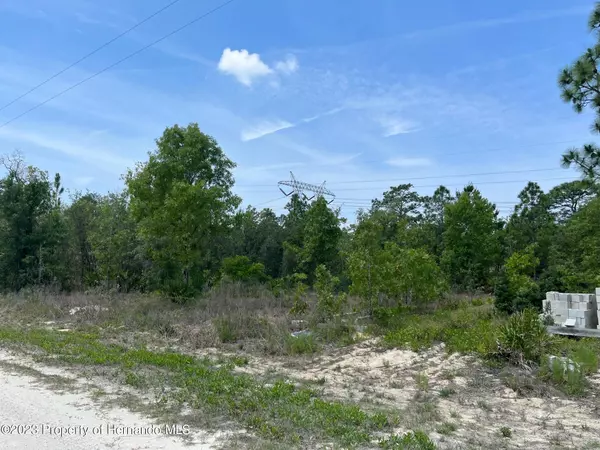 Weeki Wachee, FL 34614,6 Courlan Road