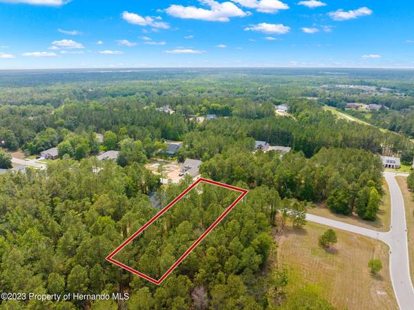 4477 Majestic Hills Loop, Brooksville, FL 34601