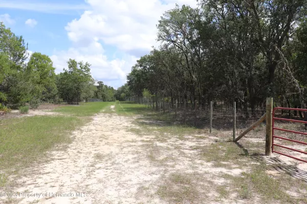 Lecanto, FL 34461,6383 S SPOTTED SANDPIPER Point