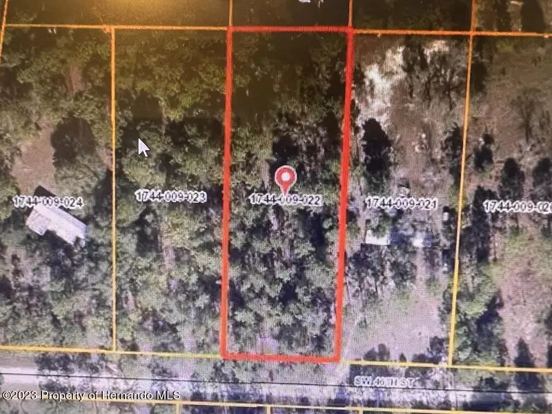 SW 46th Street, Dunnellon, FL 34432