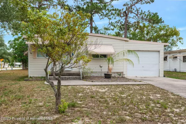 7362 Brookridge Central Boulevard, Brooksville, FL 34613