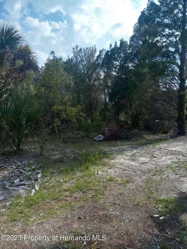 Weeki Wachee, FL 34614,18183 Quinton Road