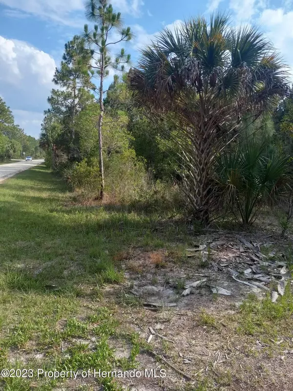 Weeki Wachee, FL 34614,18183 Quinton Road