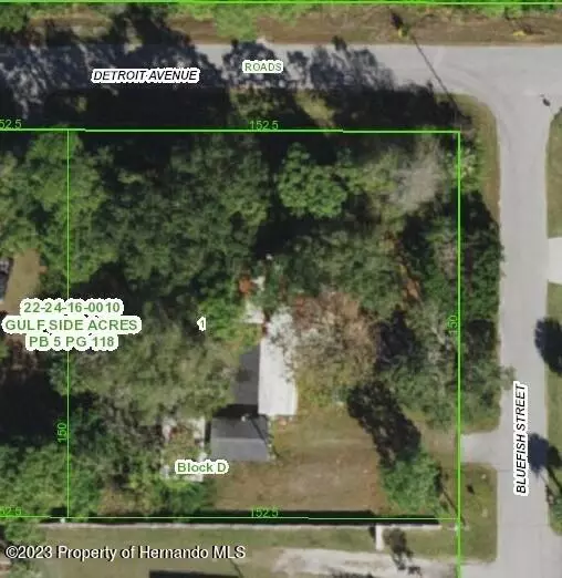 Hudson, FL 34667,15127 Bluefish Street