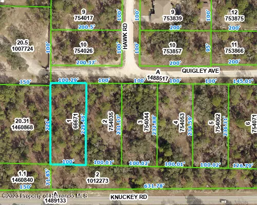 12260 QUIGLEY Avenue, Weeki Wachee, FL 34614