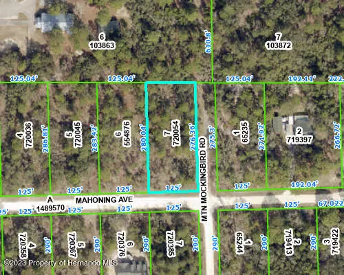 Weeki Wachee, FL 34614,0 Mahoning Avenue