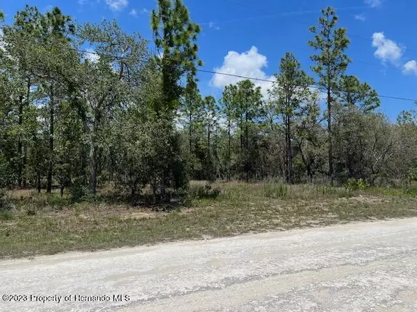 Weeki Wachee, FL 34614,13283 Spruce Grouse Avenue