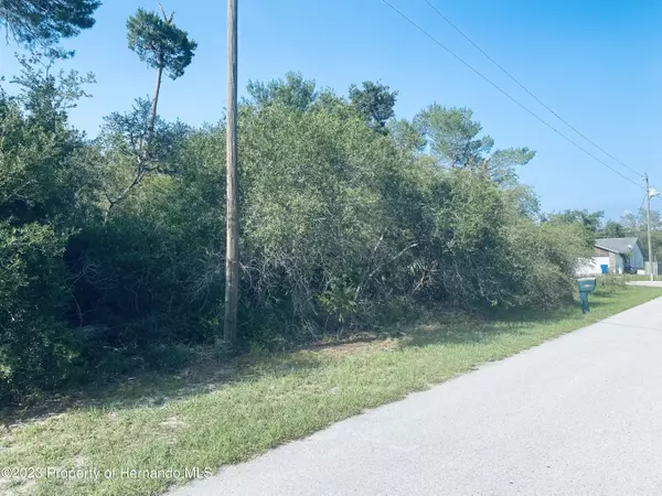 1083 Stratton Avenue, Spring Hill, FL 34609