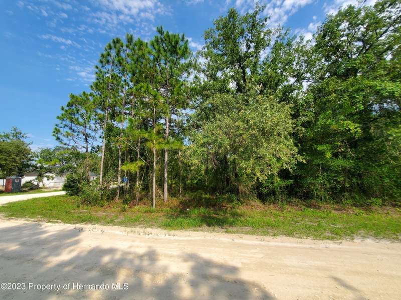 Geese Street, Weeki Wachee, FL 34614