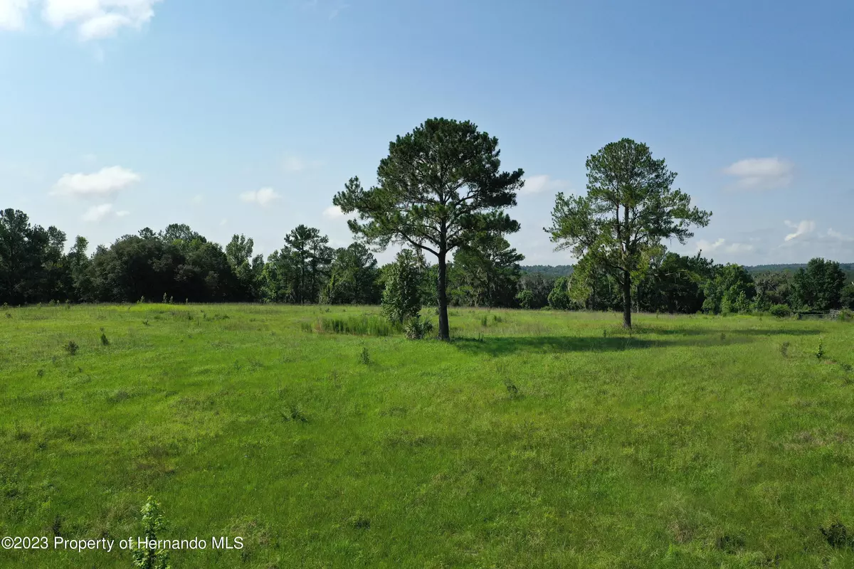 Brooksville, FL 34601,Creek Hollow