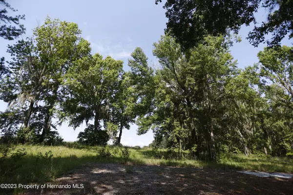 Brooksville, FL 34601,Creek Hollow