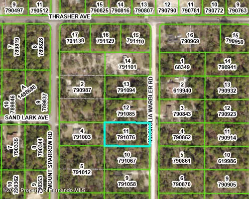 Weeki Wachee, FL 34614,16161 Magnolia Warbler