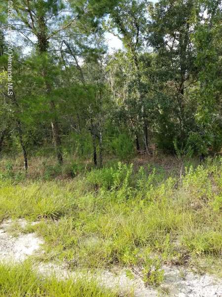 12075 Ipswich Sparrow Road, Weeki Wachee, FL 34614